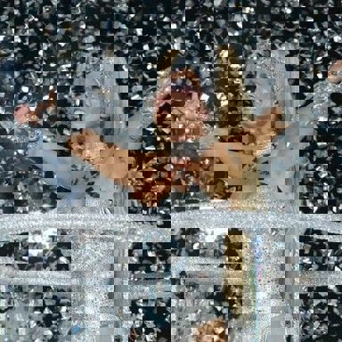 G.R.E.S. Caprichosos de Pilares (RJ) photo 13