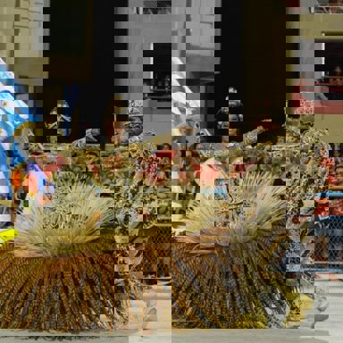 G.R.E.S Unidos de Vila Isabel (RJ)