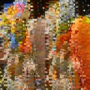 G.R.E.S Paraíso do Tuiuti