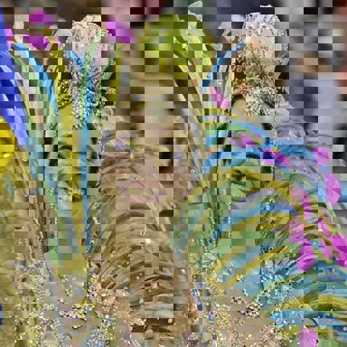 G.R.E.S Paraíso do Tuiuti photo 18