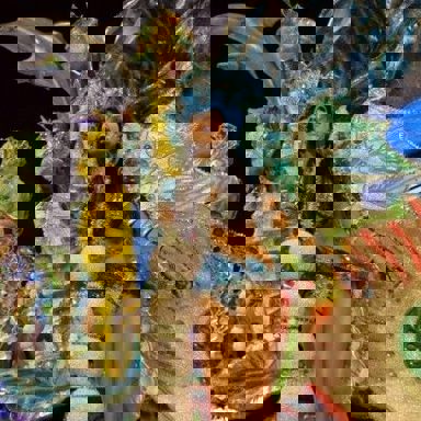 G.R.C.S.E.S. Águia de Ouro photo 11