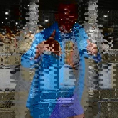 G.R.E.S. Portela (RJ) photo 9