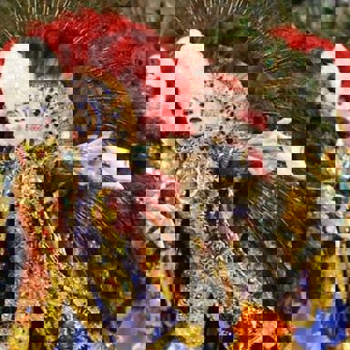 G.R.C.S.E.S Acadêmicos do Tucuruvi