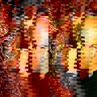 G.R.E.S. Acadêmicos do Salgueiro (RJ) photo 9