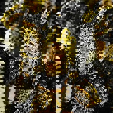 G.R.E.S. Unidos da Tijuca (RJ) photo 11