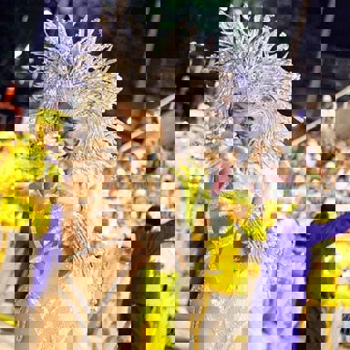 G.R.E.S. Unidos da Tijuca (RJ) photo 10