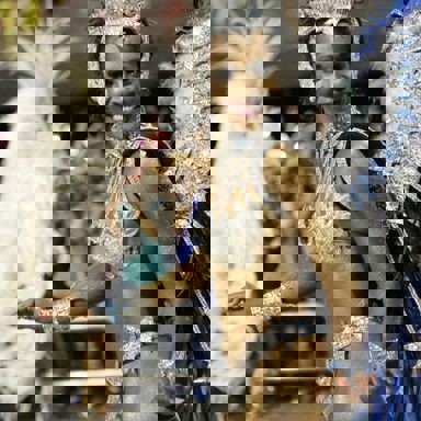 G.R.E.S. Gaviões Da Fiel (SP) photo 9