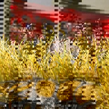 G.R.E.S Unidos de Vila Isabel (RJ) photo 9