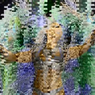 G.R.E.S. Imperatriz Leopoldinense (RJ) photo 16