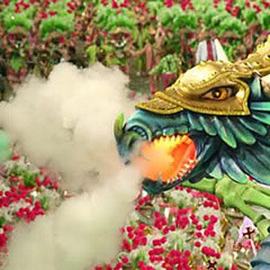 G.R.E.S. Estação Primeira de Mangueira (RJ) photo 43