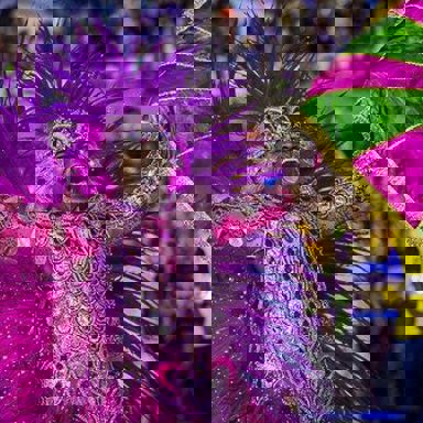 G.R.E.S. Estação Primeira de Mangueira (RJ) photo 9