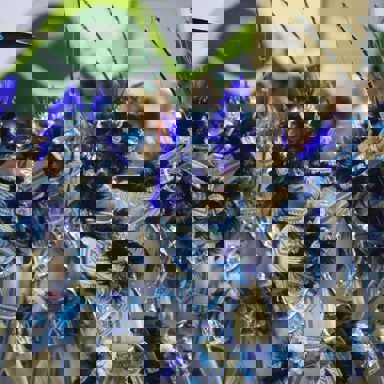 G.R.E.S. Caprichosos de Pilares (RJ)