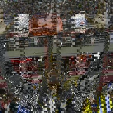 G.R.E.S. Unidos da Tijuca (RJ)