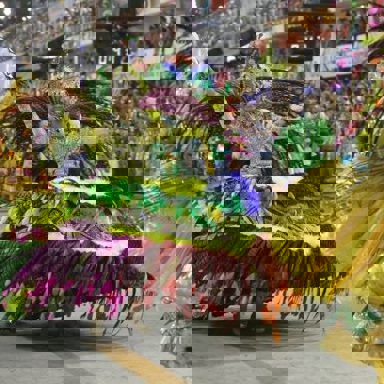 G.R.E.S. Imperatriz Leopoldinense (RJ) photo 15