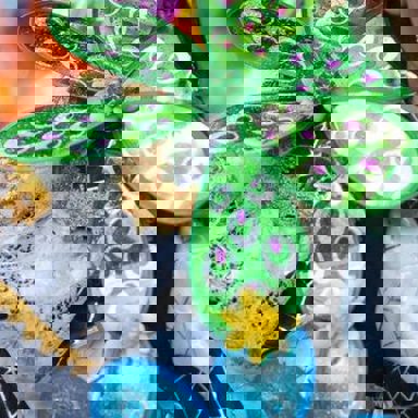 G.R.C.S.E.S. Águia de Ouro photo 10