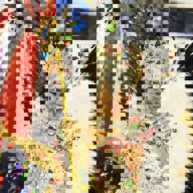 G.R.E.S Unidos do Viradouro (RJ)