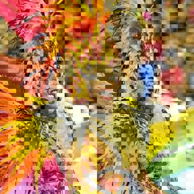 G.R.E.S. Acadêmicos do Grande Rio (RJ)