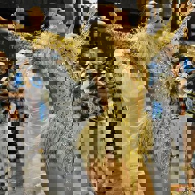 G.R.E.S Unidos de Vila Isabel (RJ)