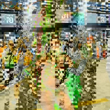 G.R.E.S. Acadêmicos do Cubango (RJ)