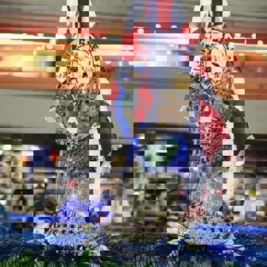 G.R.E.S. Unidos de Padre Miguel