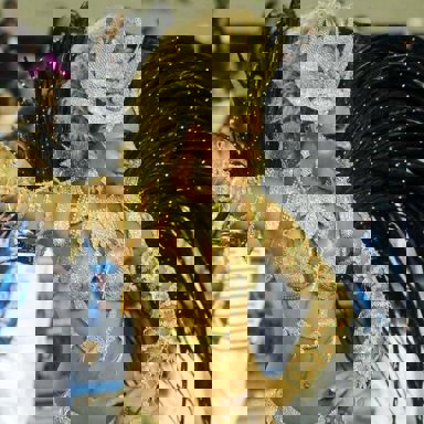 G.R.E.S. Caprichosos de Pilares (RJ)