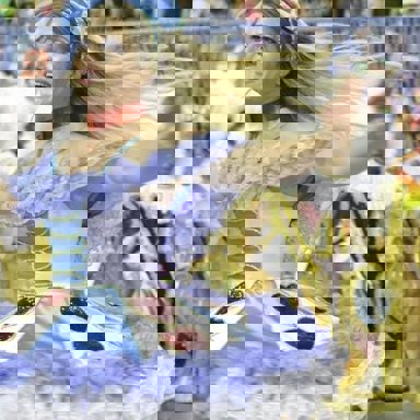 G.R.E.S União da Ilha do Governador (RJ) photo 12