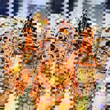 G.R.C.S. Império de Casa Verde (SP) photo 20