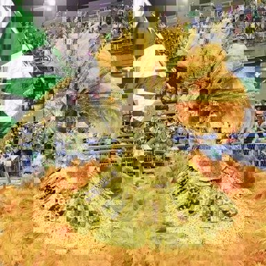 G.R.E.S. Acadêmicos de Santa Cruz photo 9