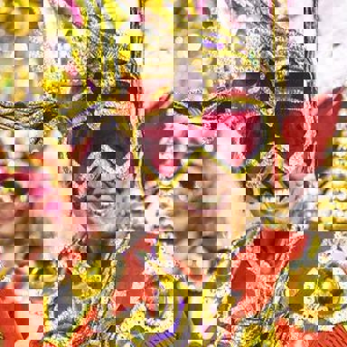 G.R.E.S. Unidos da Tijuca (RJ) photo 20