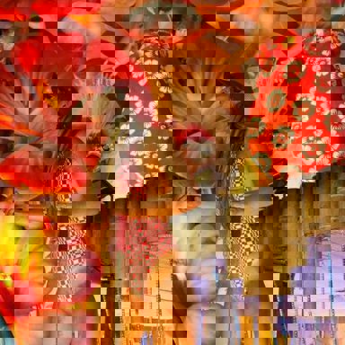 G.R.E.S. Acadêmicos do Salgueiro (RJ)