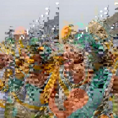 G.R.E.S. Acadêmicos do Cubango (RJ)