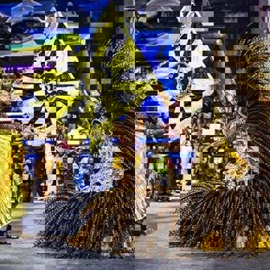 G.R.E.S. São Clemente (RJ) photo 10