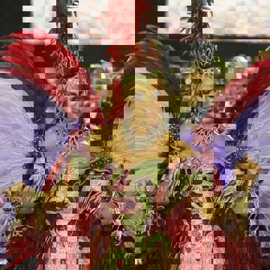 G.R.E.S. Imperatriz Leopoldinense (RJ) photo 14