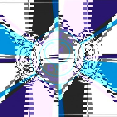 G.R.E.S. Caprichosos de Pilares (RJ)