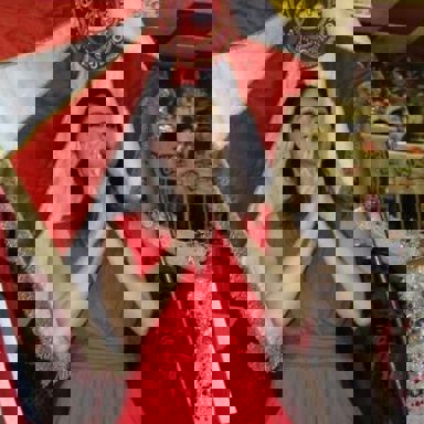 G.R.E.S. Acadêmicos do Salgueiro (RJ)