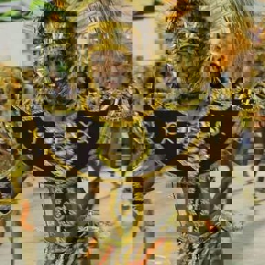 G.R.E.S Paraíso do Tuiuti