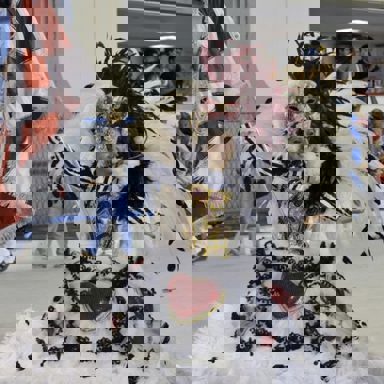 G.R.E.S. Unidos de Padre Miguel photo 15