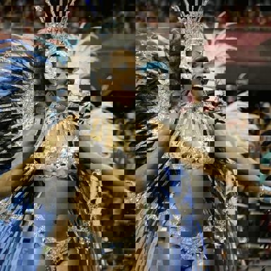 G.R.E.S. Gaviões Da Fiel (SP)