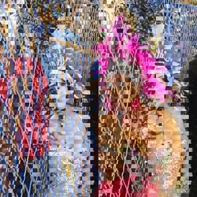 G.R.E.S. Estação Primeira de Mangueira (RJ) photo 15