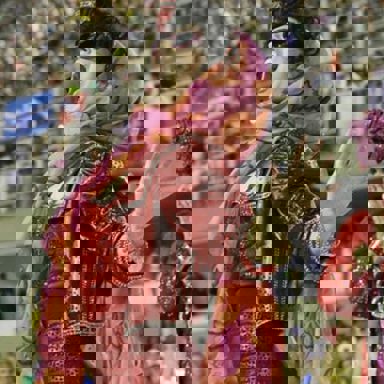 G.R.E.S. São Clemente (RJ) photo 19