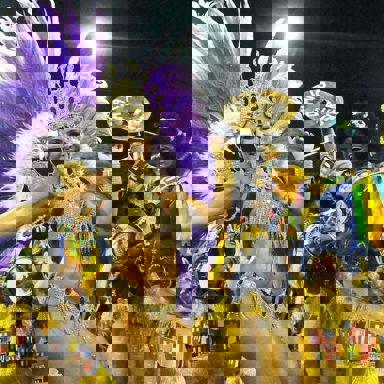 G.R.E.S Paraíso do Tuiuti