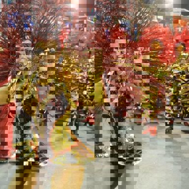 G.R.E.S. Acadêmicos do Salgueiro (RJ)