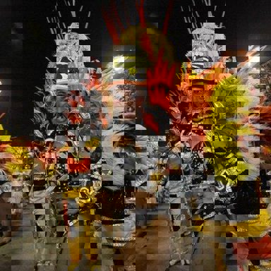 G.R.E.S. São Clemente (RJ) photo 18