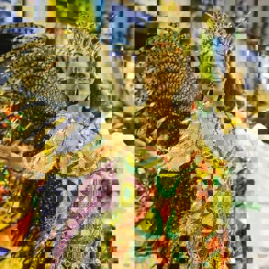 G.R.E.S. Imperatriz Leopoldinense (RJ)