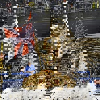 G.R.E.S. Unidos de Padre Miguel photo 11