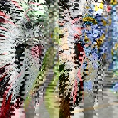 G.R.E.S Unidos de Vila Isabel (RJ) photo 19