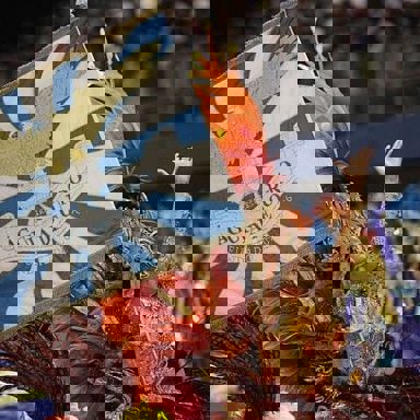 G.R.C.S.E.S. Águia de Ouro photo 17