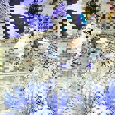 G.R.E.S. Acadêmicos do Tatuapé photo 12