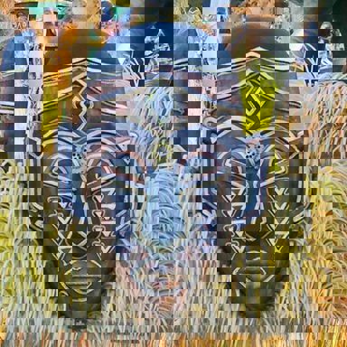 G.R.E.S. Acadêmicos do Cubango (RJ)