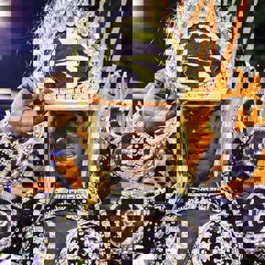 G.R.E.S. São Clemente (RJ) photo 14